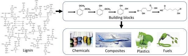 Conversion-to-products-image