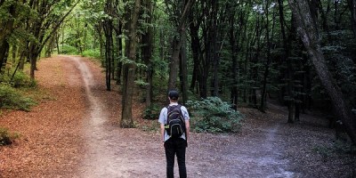 Person stands in woods, deciding which path to take