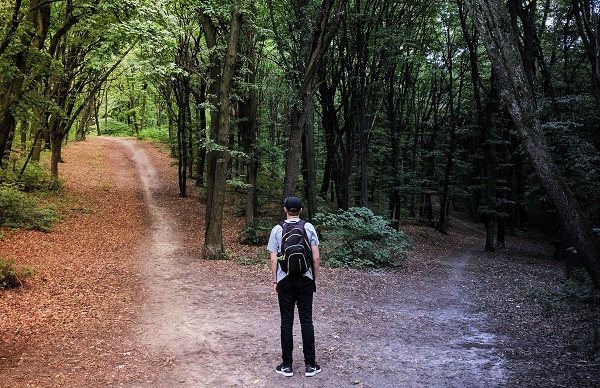Person stands in woods, deciding which path to take